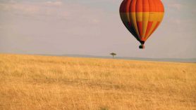 Masai Mara'da balon