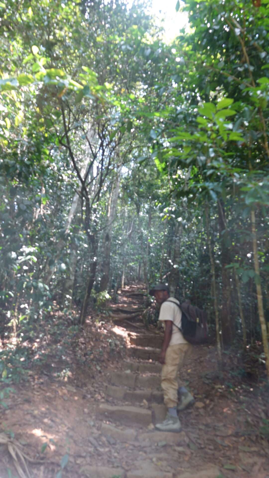 Mantadia Ulusal Parkı