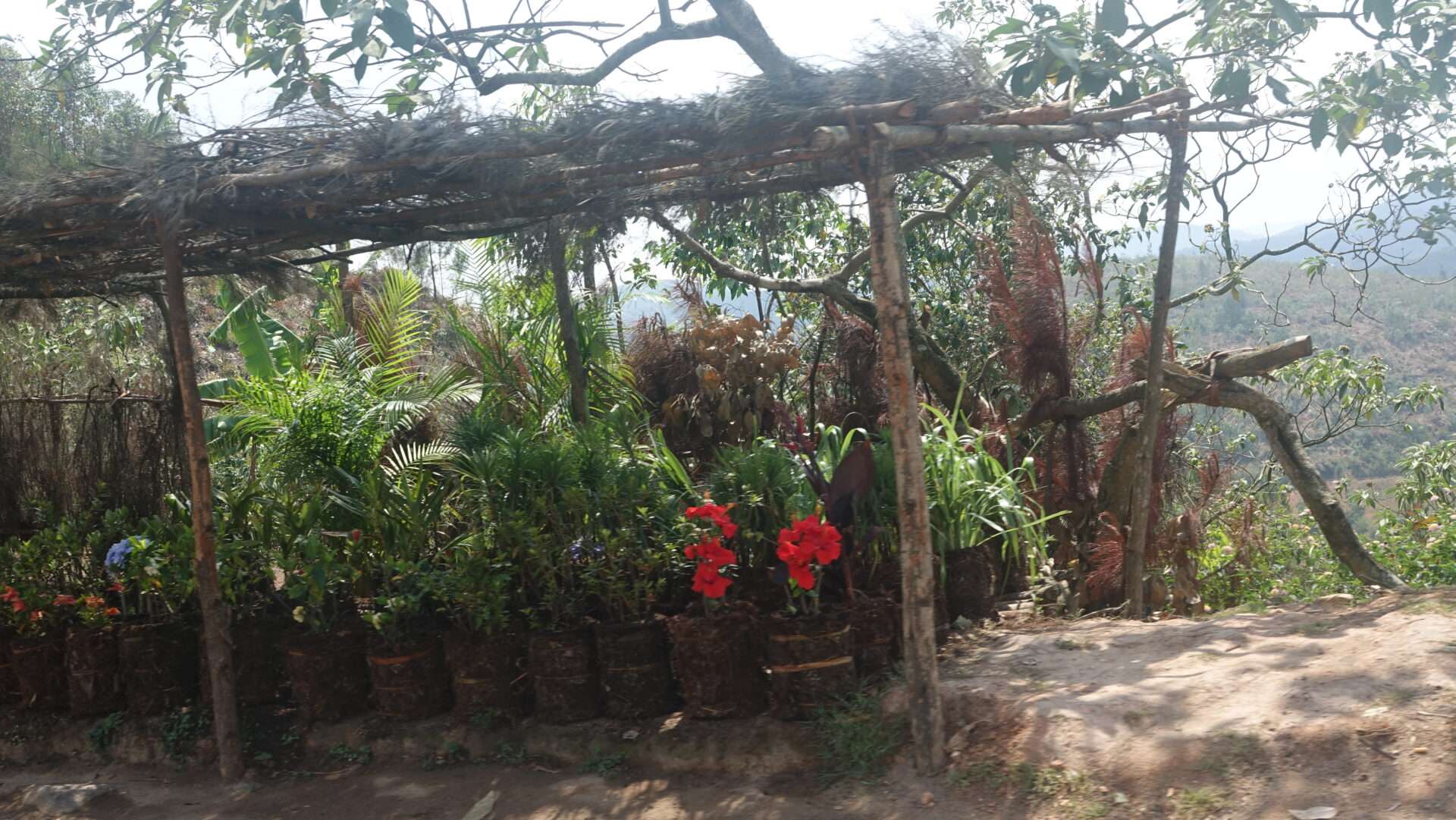 Andasibe-Antsirabe yolu