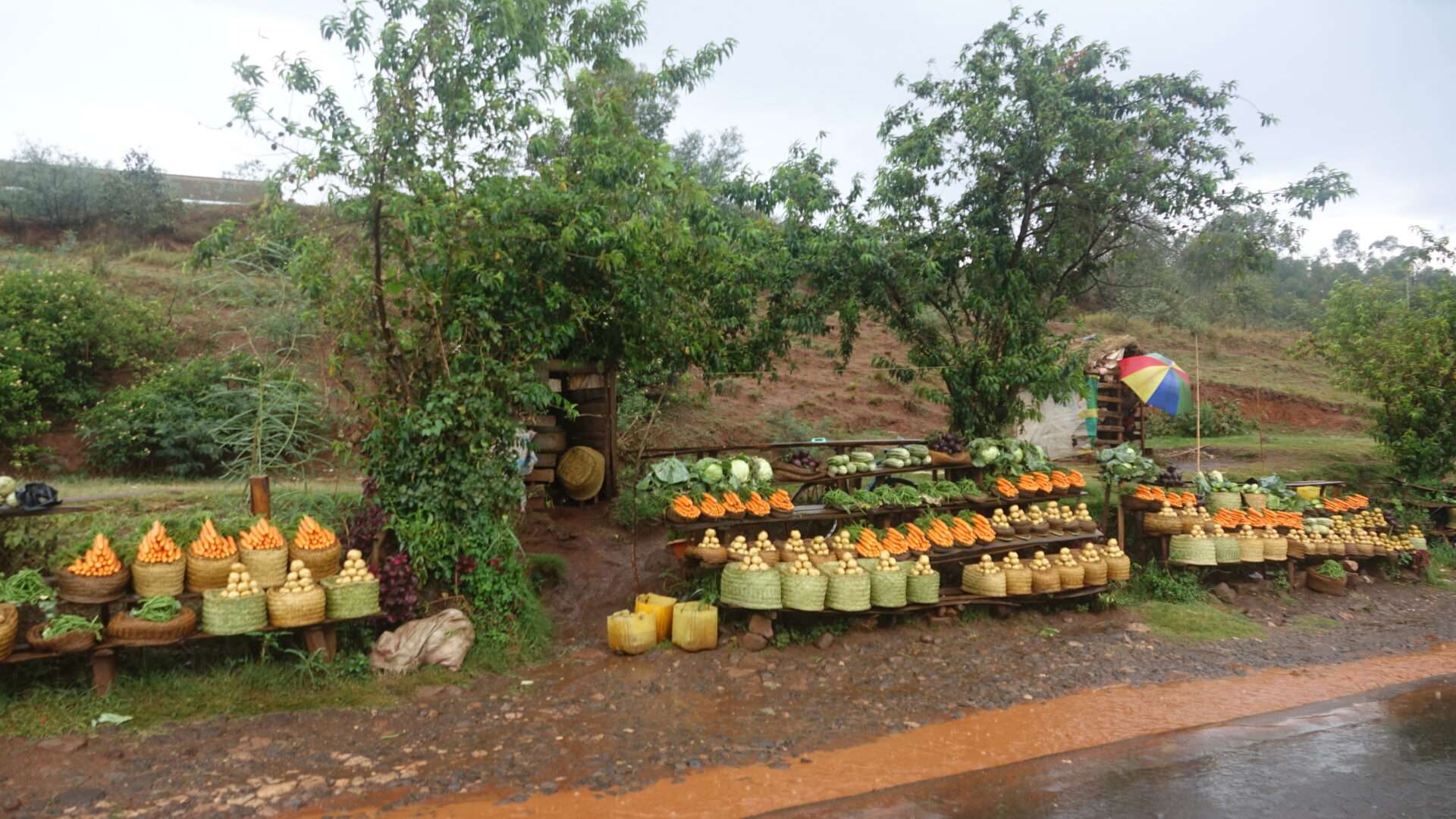 Madagaskar yol satıcıları