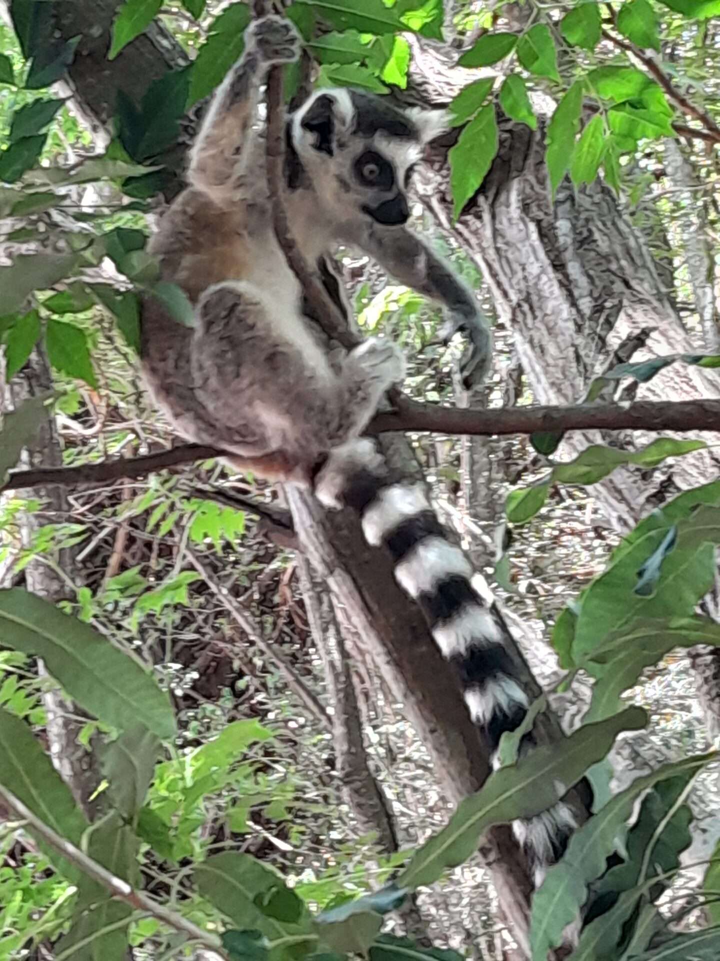 Anja Community Reserve 