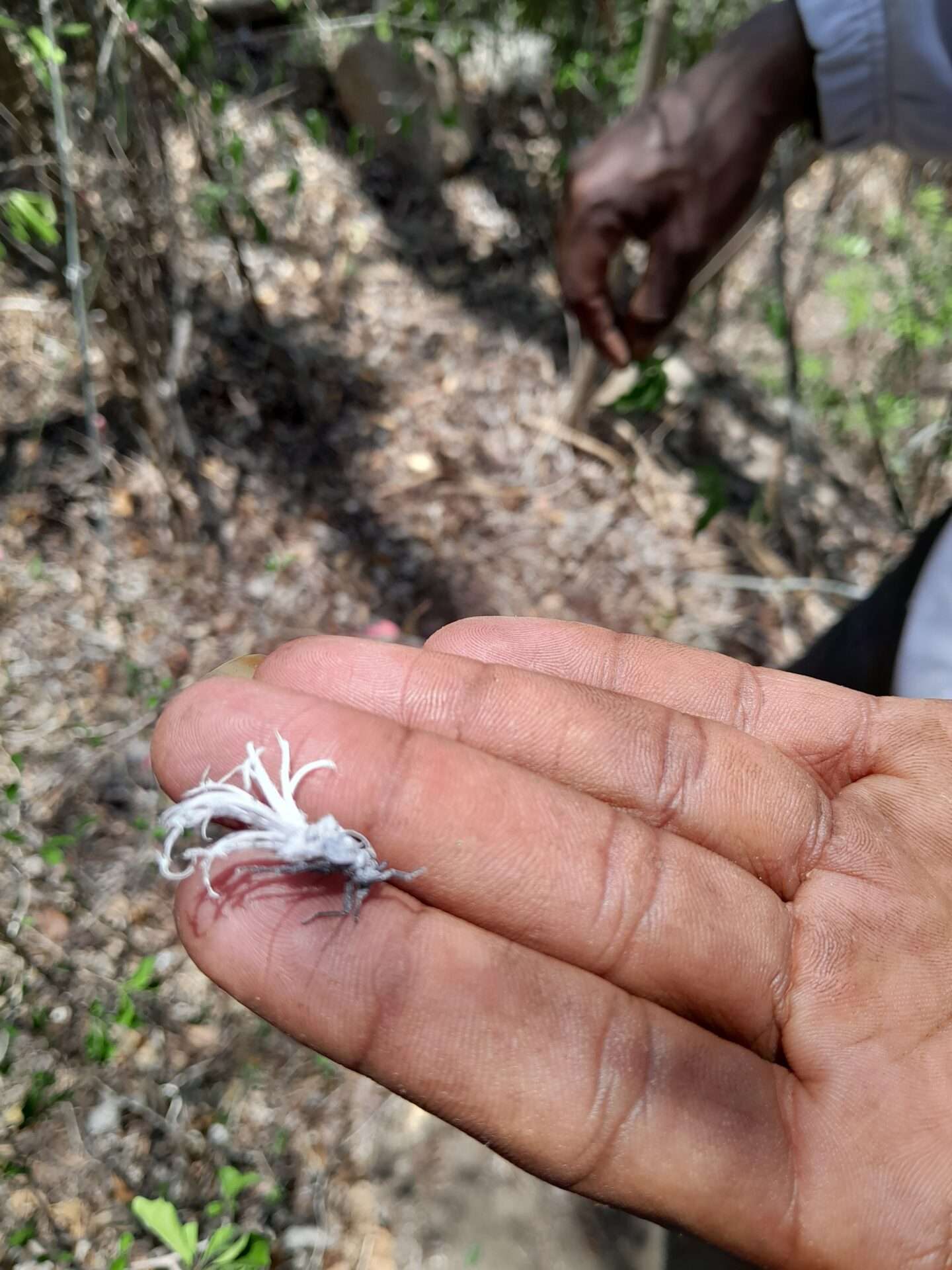 Anja Community Reserve 