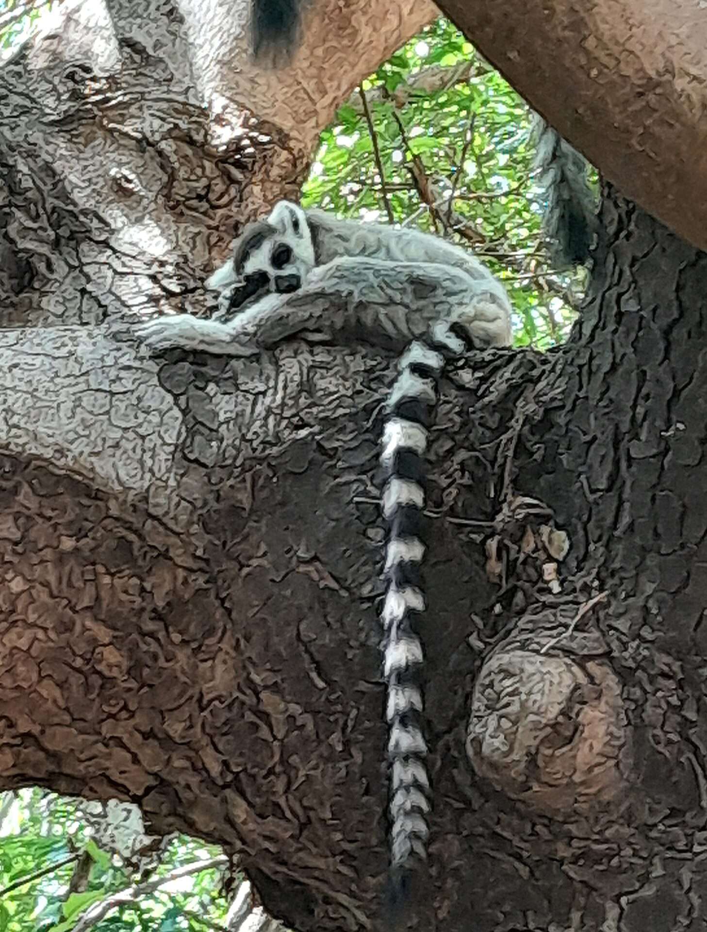 Anja Community Reserve 