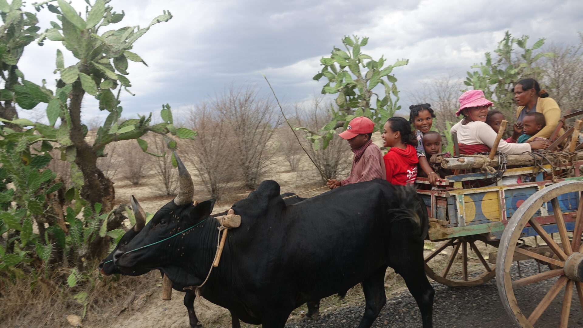Madagaskar sokakları