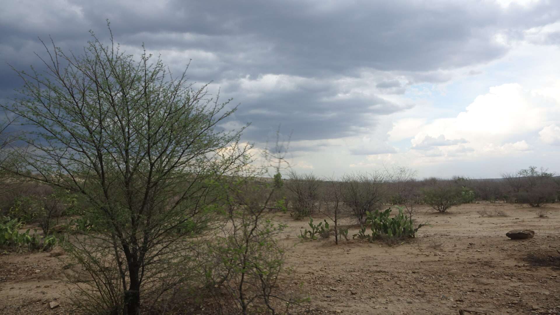 Madagaskar sokakları