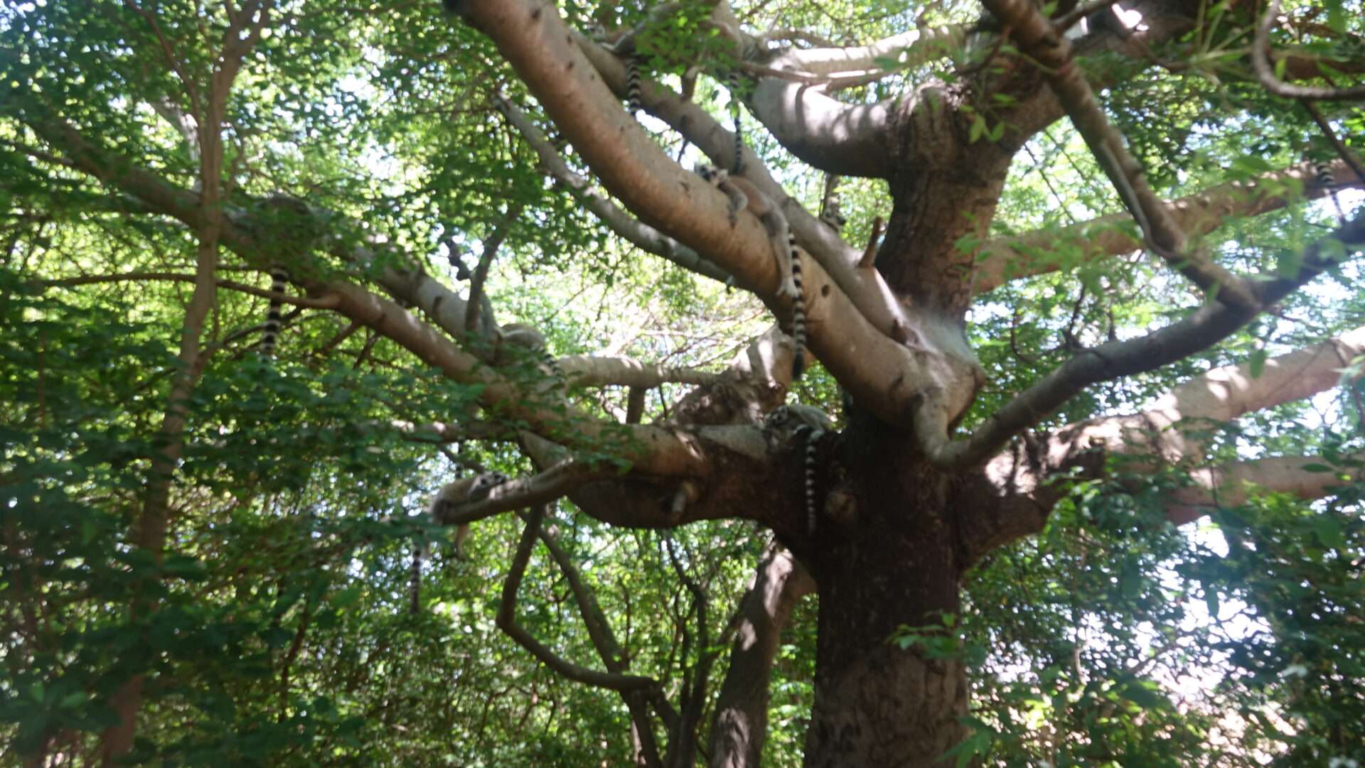 Anja Community Reserve 