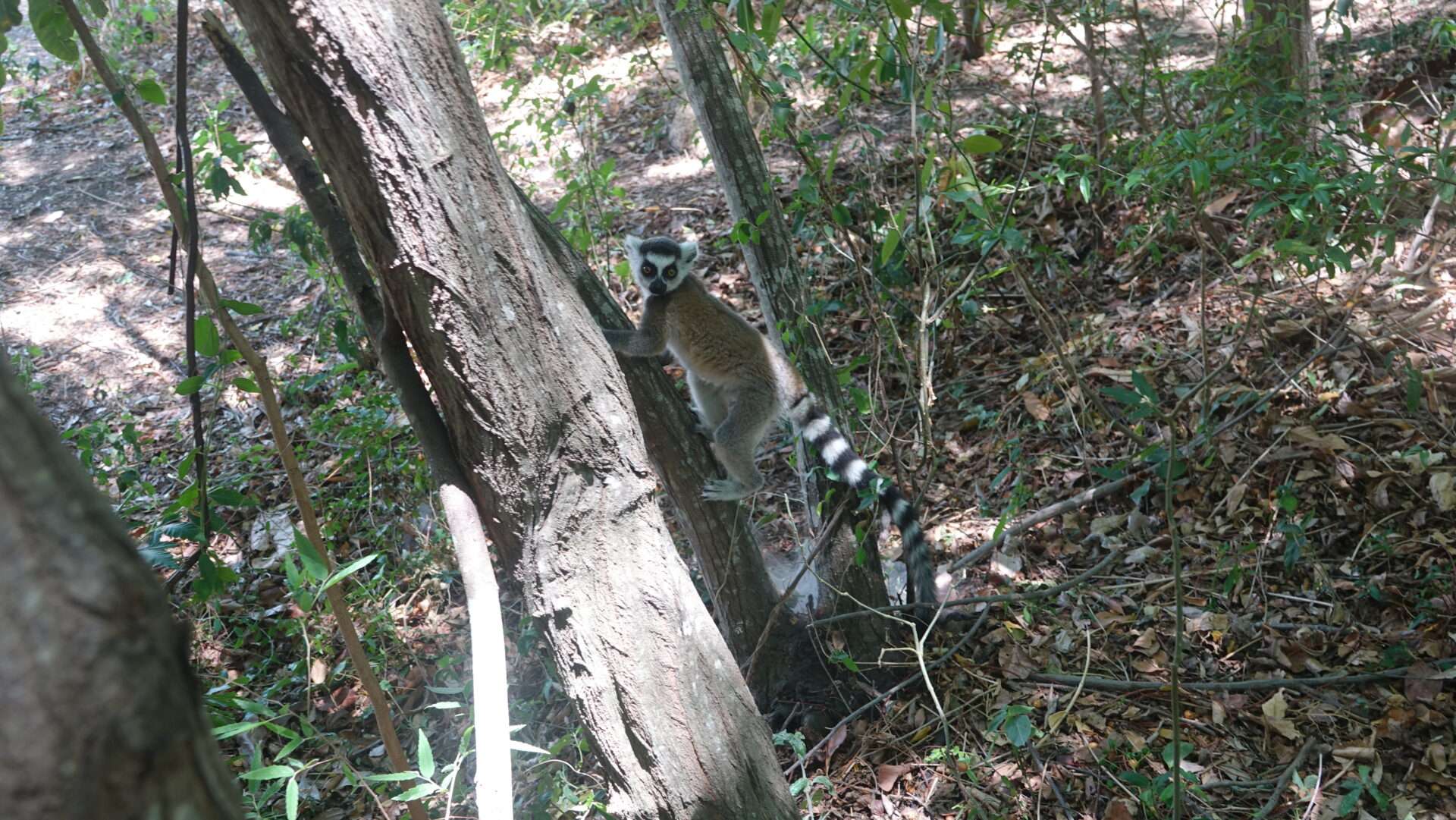 Anja Community Reserve